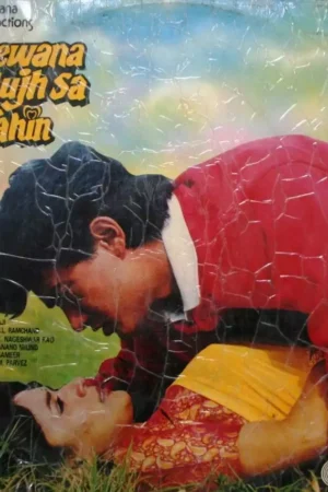 Deewana Mujh Sa Nahin