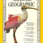 National Geographic