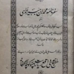 Safarnama