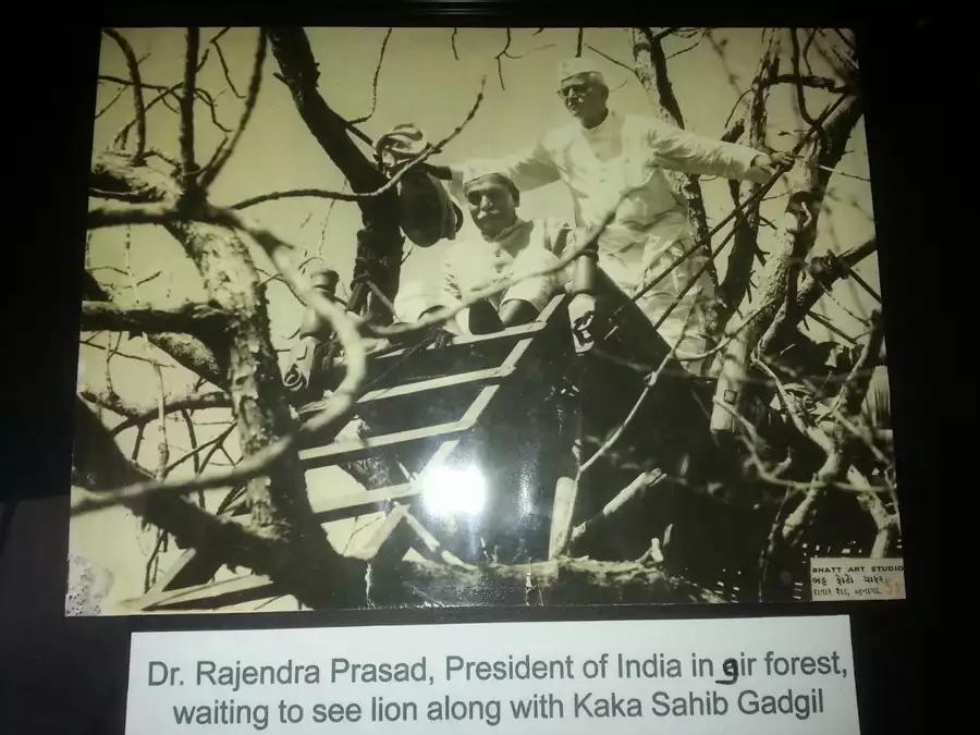 Historical Photographs