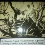 Dr. Rajendra Prasad President of India in Gir Forest, wating to see Lion along with Kaka Sahib Gadgil