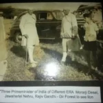 Three Primeminister of India of Different Era, Morarji Desai, Jawaharlal Nehru, Rajiv Gandhi- Gir Forest to see Lion