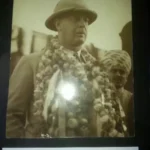 Viceroy of India