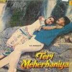 Teri Meherbaniyan