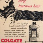 Vintage Magazine Advertisement – Plate 01 (13)