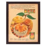 Vintage Advertisement – Archival Item DSC_1644A