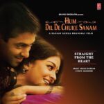 Hum Dil De Chuke Sanam Vinyl Record